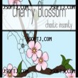 تحميل فرش فوتوشوب زهرة الكرز Cherry Blossom